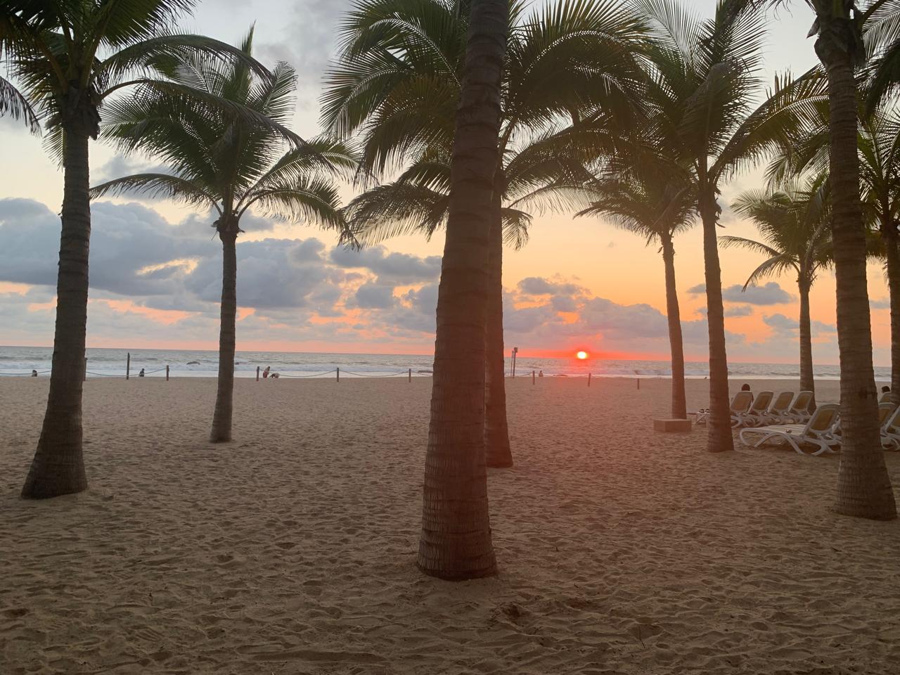 Playa Brujas en Mazatlán: palmeras, arena y el Pacífico al atardecer